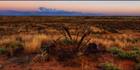 Old Townsite Ruins - Onslow - WA (PBH3 00 8721)