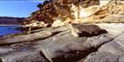 Painted Cliffs - Maria Island - TAS (PB00 5642)