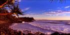 Pandanus Sunrise Coolum 2 - QLD (PB 003152)