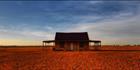Parched -  NSW (PBH3 00 16755)