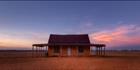 Parched - NSW (PBH3 00 16722)