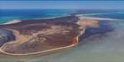 Petit Point - Shark Bay - WA (PBH3 00 4873)