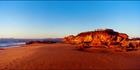 Pincushion Early Morning - QLD (PB 003337)