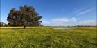 Pinjarra Fields - WA SQ (PBH3 00 4028)