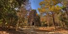 Prasat Neakpon Temple (PBH3 00 5883)