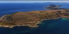 Prime Seal Island - TAS (PBH3 00 15404)