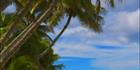 Raratonga - Cook Islands V (PBH3 00 1236)