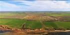 Rex Minerals - SA T (PBH3 00 28288)