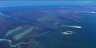 Seagrass Meadows - Shark Bay - WA (PBH3 00 4856)