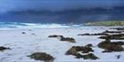 Seal Bay Kangaroo Island - SA