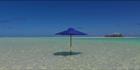 Shade - Aitutaki (PBH3 00 2185)