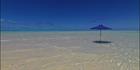 Shade - Aitutaki SQ (PBH3 00 2184)