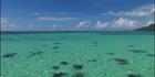 Sheraton Resort - Moorea (PBH3 00 1518)