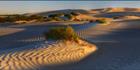 Sheringa Dunes - SA (PBH3 00 2606)