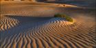 Sheringa Dunes - SA SQ (PBH3 00 26071)