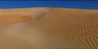 Sheringa Sand Dunes - SA (PBH3 00 26045)