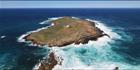 South Neptune Island - SA T (PBH3 00 30693)