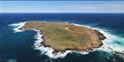 South Neptune Island - SA T (PBH3 00 30695)