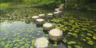 Stepping Stones - Japan SQ (PBH3 00 0000)