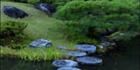 Stepping Stones - (PB H3D V 000091)