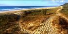 Sunshine Beach 2 - QLD (PB003344)