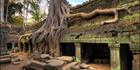 Ta Phrom Temple - (PBH3 00 6492)