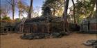 Ta Phrom Temple - (PBH3 00 6498)