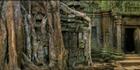 Ta Phrom Temple H (PBH3 00 6469)