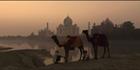 Taj Mahal (PBH3 00 24544)