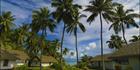 Tamanu Beach Resort - SQ (PBH3 00 1351)