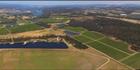 Tamar Ridge Vineyard - TAS (PBH3 00 15350)
