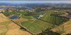Tamar Ridge Vineyard - TAS (PBH3 00 15351)