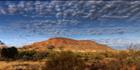 The Governor - Near Newman - WA (PBH3 00 9799)