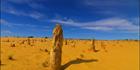 The Pinnacles - WA (PBH3 00 2579)