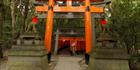 Torii Gate - Japan (PB H3D 00050)