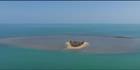 Turtle Island - NT (PBH3 00 12497)