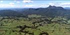 Uki - NSW (PB 001199)