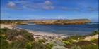 Wildflowers - Innes NP - SA SQ V (PBH3 00 30258)