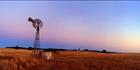 Windmill Sunset - SA (PB00 3970)